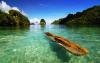Photo for Diving Nusa Penida
