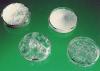 Photo for North America Superabsorbent Polymers Market Report - Industry Size, Share, Trends, Growth And Forecast Till 2025