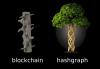 Photo for Hashgraph Market - Trends, Outlook, and Opportunity Analysis, 2018-2026