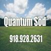 Photo for Quantum Sod