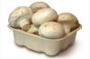 Photo for Global Mushroom Packaging Market 2019 | Manufacturers, Regions, Type And Application, Forecast To 2024