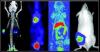 Photo for Small Animal Imaging Market —  Industry Insights, Trends, Outlook, and Opportunity Analysis, 2018-2026