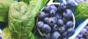 Photo for Quercetin Dihydrate Market Regional Analysis by Distribution Channel