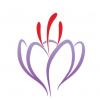 Photo for Saffron Laser Aesthetics and Medical Spa