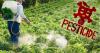 Photo for Pesticides Market Study By Chemical Structures, Application & Top Key Players - Bayer AG, Syngenta, Dow Chemical, DuPont