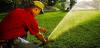 Photo for Arizona Landscape Services