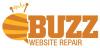 Photo for wordpress website repair