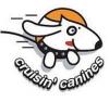 Photo for Cruisin' Canine