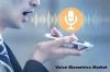 Photo for Worldwide Voice Biometrics Market Global Insights, Future Trend & Forecast 2019 to 2023