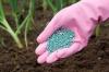 Photo for Nitrogenous Fertilizers Market | Industry Outlook Research Report 2018-2025 By DecisionDatabases