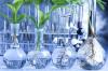 Photo for Plant Growth Regulators Market Report 2018-2025 By Top Players - BASF, Bayer CropScience, Crop Care Limited, DuPont, NuFarm Limited