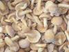 Photo for Global Frozen Mushrooms Market 2019 | Manufacturers, Regions, Type And Application, Forecast To 2024