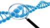 Photo for Recombinant DNA Technology Market - Trends, Opportunity And Analysis 2025