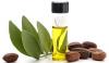 Photo for Global Jojoba Oil Market 2019 | Manufacturers, Regions, Type And Application, Forecast To 2024