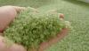 Photo for Polylactic Acid Market Report | Top Key Players are - NatureWorks LLC, Purac, Galactic, Pyramid Bioplastics, BASF, Synbra, Bayer