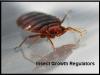 Photo for Insect Growth Regulators Market 2019: Industry Growth, Trends and Research Report, To 2025