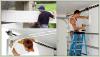 Photo for Middletown Garage Door Repair Techs