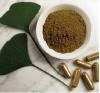 Photo for Global Ginkgo Biloba Extract Market 2019 | Manufacturers, Regions, Type And Application, Forecast To 2024