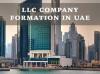 Photo for Types of License That Could Be Taken for LLC company in dubai