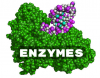 Photo for Enzymes Market - Industry Trends, Outlook, Regulatory Bodies & Regulations and Key Market Players.