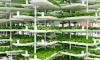 Photo for Vertical Farming Market Study By LED Grow Light Module & Top Key Players - Spread Co., Granpa, Iwasaki Electric, Nihon Advanced Agri Corporation, Pacific Group