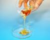 Photo for Global Polyimide Varnish Market 2019 | Manufacturers, Regions, Type And Application, Forecast To 2024