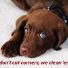 Photo for Calini Steam Cleaning