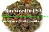 Photo for Health Benefits of Marijuana and Cannabis