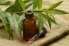 Photo for Global Tea Tree Oil Market 2019 | Manufacturers, Regions, Type And Application, Forecast To 2024