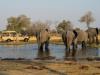 Photo for African Travel Agents