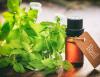 Photo for Basil Extracts Market- Global Industry Insights, Trends, Outlook, and Opportunity Analysis, 2018-2026