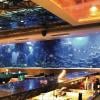Photo for 600mm acrylic panel