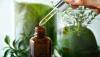 Photo for Botanical Extracts Market Trends And Revenue 2018 - 2026