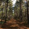 Photo for LAND FOR SALE IN THE SOUTHEAST