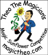 Photo for Theo The Magician