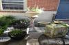 Photo for Why Your Office Needs Interior Plant Design