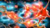 Photo for Bioelectronics Market Is Expected To Have The Highest Growth Rate During The Forecast Period 2026
