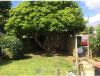 Photo for Woods Tree Specialists Ltd