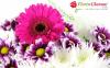 Photo for Flower Bouquet Delivery in Chennai