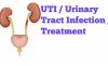 Photo for Urinary Tract Infection Treatment Market Forecast to 2026 with Key Companies Profile, Supply and Growth Factors