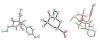 Photo for mouse cytokine array