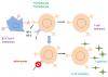 Photo for quaternary amine