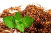 Photo for Tobacco Market Report From 2018 To 2025 - Altria Group, British American Tobacco, China National Tobacco Corp