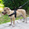 Photo for Pet Harness Mart