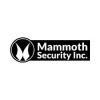 Photo for Mammoth Security Inc. Old Saybrook