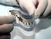 Photo for Printed And Chipless RFID Market Till 2025 Major Key Players are - Motorola, Zebra Technologies, Alien Technology, TAGSYS