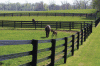 Photo for Fencing Market Study By Material, Application & Top Key Players - CertainTeed, Bekaert Associated Materials LLC, Betafence, Gregory Industries, Inc.
