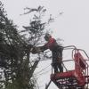 Photo for Paul's property maintenance