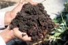 Photo for Global Vermicompost Market Manufacturers Sales Analysis Report 2019-2024