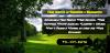 Photo for Tree Service Sarasota